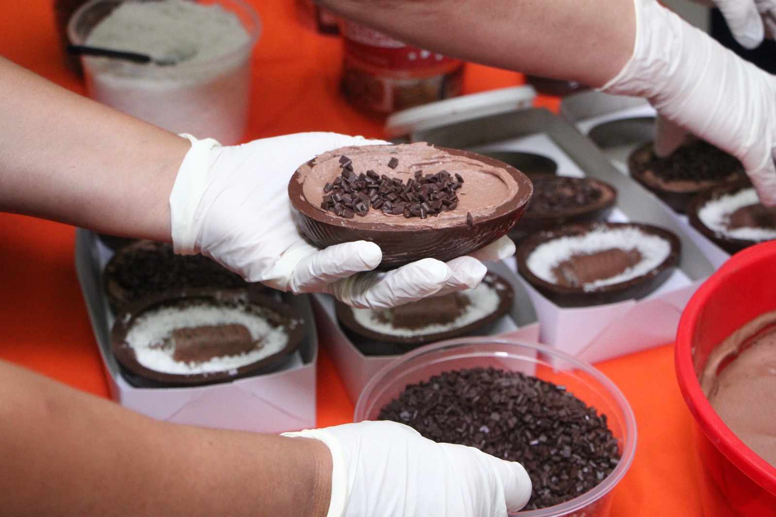 WhatsApp Image 2026-04-02 at 15.07.07