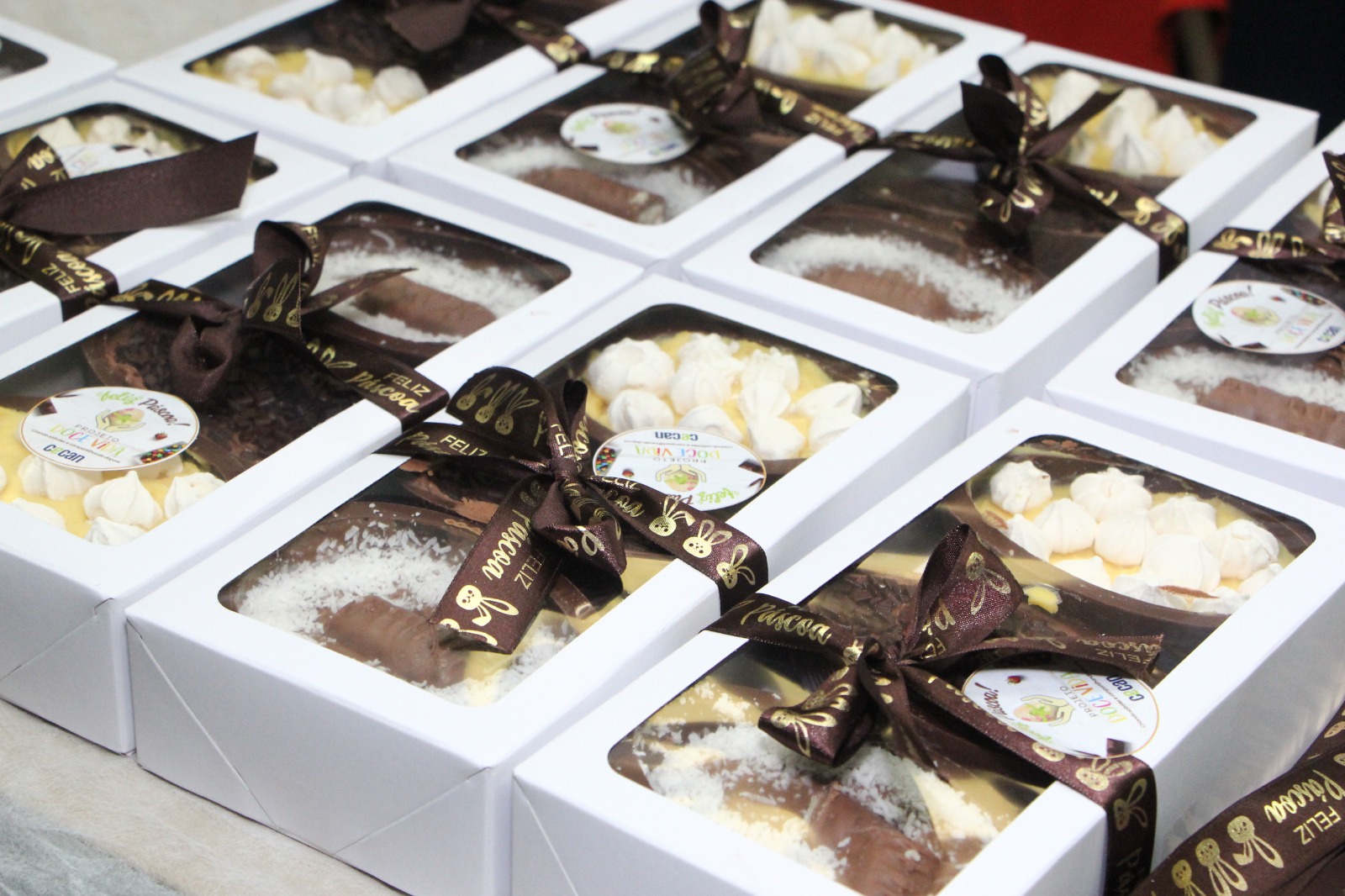 WhatsApp Image 2026-04-02 at 15.07.08